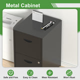 TIMELESS PIECES 2-Drawer Black Metal File Cabinet for Home Office, Locking, Small, Vertical TIMELESS PIECES