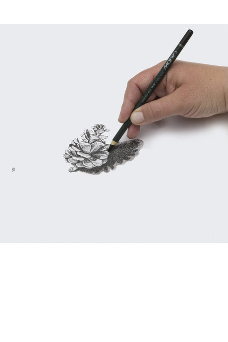 Marie's Artist Charcoal Pencil 12 Piece Set, Extra-Soft Black Paper Handle Charcoal Pencils for Drawing and Sketching Marie's