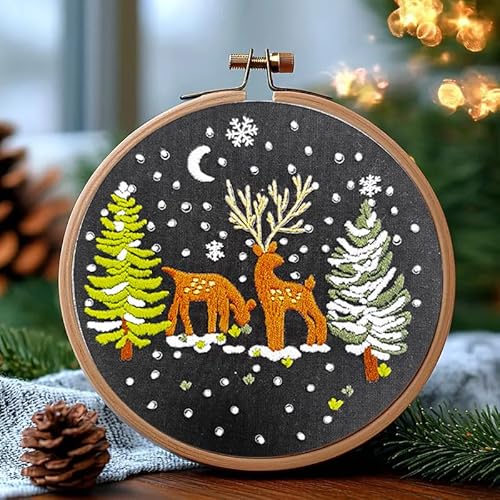Huacan Embroidery Kit for Beginners 4 Set and Instructions with Videos Includes Multiple Accessories, Gift for Craft (Christmas)