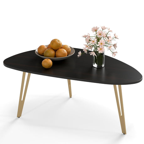 Manora Simple Dark Brown Oval Wood Coffee Table with Gold Legs, Modern Tea Table for Living Room or Office, Cute Small Center Table for Compact Space Manora