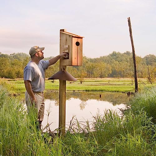Cypress Wood Duck Nesting Box Forestry Suppliers