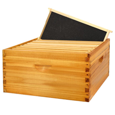 BEEINN 10 Frame Bee Hive Box, Langstroth Deep Brood Bee Box Dipped in 100% Beeswax Include Beehive Frames and Waxed Foundation Sheets (Unassembled)