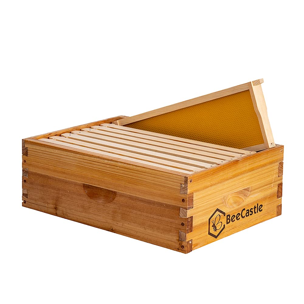 BeeCastle 8 Frame Medium Super Bee Hive Box, Langstroth Honey Bee Hive Dipped in 100% Beeswax Include Beehive Frames and Wax Foundations (Unassembled) BeeCastle