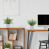 Winlyn 2 Pack Small Potted Eucalyptus Plant Artificial Plants Green Boxwood Rosemary Greenery in Modern Concrete Plant Pots Winlyn