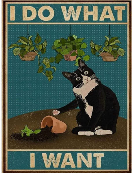 GUYANA DIY 5D Diamond Painting by Number Kits for Adults,Cute Cat Diamond Painting Kits Round Full Drill Diamond Art Kits Picture Arts Craft for Home Wall Art Decor(I Do What i Want) GuyAna