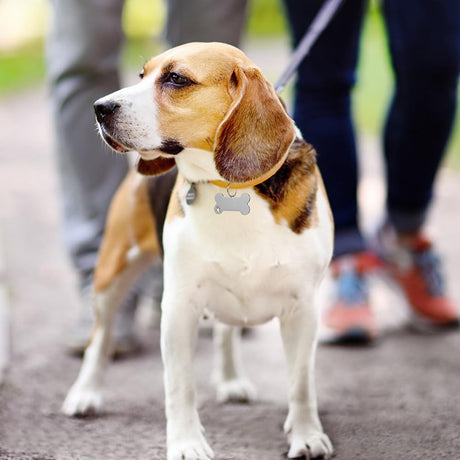 POPETPOP Pet Id Tags 18 pcs pet Dog tag Custom Tags Metal Blank pet tag Sublimation pet tag cat Name Label Tags Dog Collar Tags Dog ID Tag Sublimation Blank cat Tags Bone Stainless Steel POPETPOP