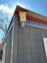 Original B Brothers - Carpenter Bee Trap Original B Brothers