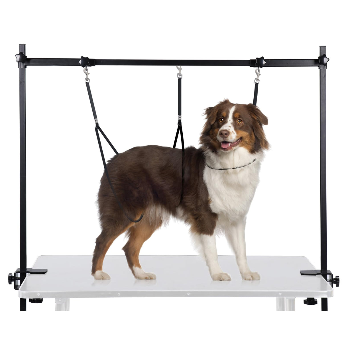HIDOG H-Shape Dog Grooming Arm with Clamp, Pet Grooming Table Arm with 3 Loop Noose, 33" Height Adjustable and 38" - 50" Width Adjustable for Small/Medium/Large Dogs HIDOG