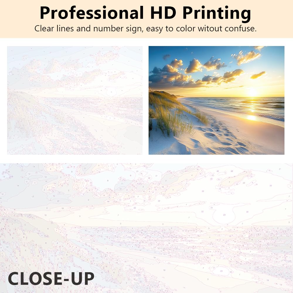 Seascape Paint by Numbers Kits DIY Coastal Art Paintings Crafts Scenic Coastal Landscape with Sand and Sea Grass Picture Adults Beginners Nature View Pattern Painting by Numbers Kits 16x20 in Rebotipy