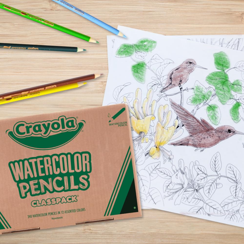 Crayola Classpack Watercolor Pencils, 240ct, 20 each of 12 Colors, Great for Classroom, Educational, Art Tools Crayola