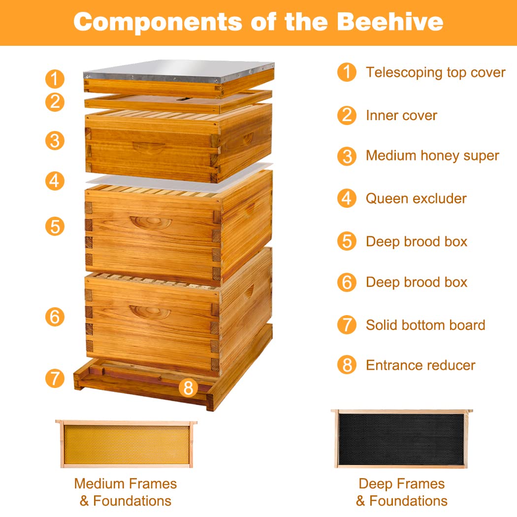 Honey Lake 10 Frame Bee Hive, Bee Hives Boxes Starter Kit for Beekeepers Dipped in 100% Beeswax, Beehive Kit Include 2 Deep Brood Box & 1 Medium Super Bee Box with Beehive Frames and Waxed Foundation Honey Lake