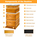 Honey Lake 10 Frame Bee Hive, Bee Hives Boxes Starter Kit for Beekeepers Dipped in 100% Beeswax, Beehive Kit Include 2 Deep Brood Box & 1 Medium Super Bee Box with Beehive Frames and Waxed Foundation Honey Lake
