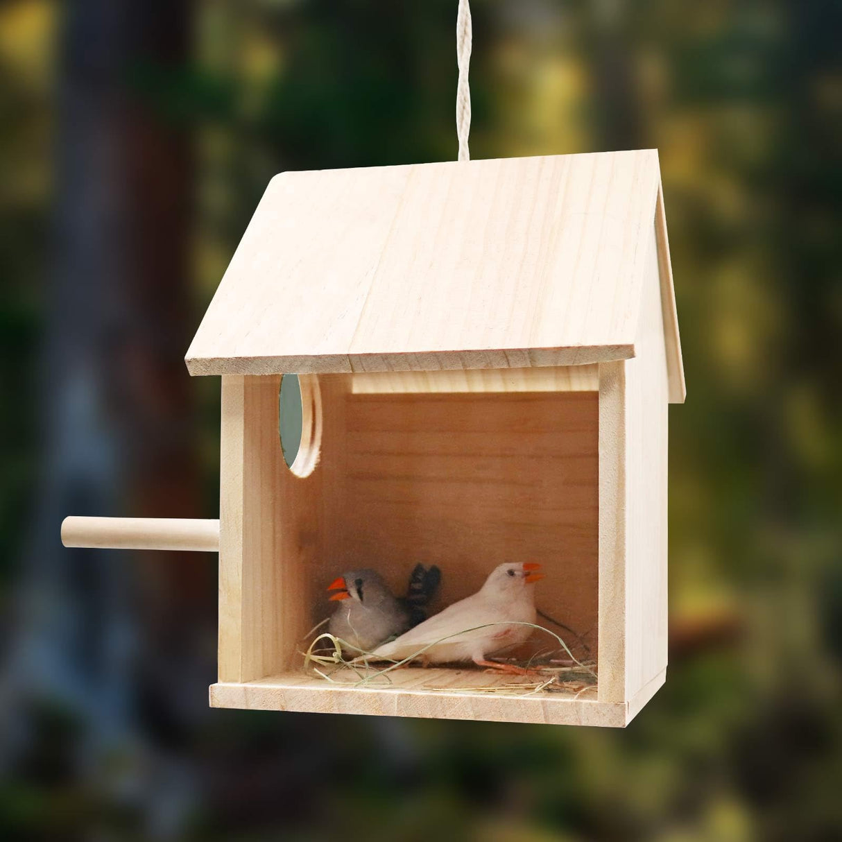 Bird House for Outside, Outdoor Wooden Birdhouse with Transparent Acrylic Window, Bird Nest Box with Pole for Garden Patio, Hanging Birdhouse for Sparrow Hummingbird Finch 5.7 × 5.7 × 8.7 Inches Oooct