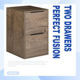LUCYPAL 2 Drawer Wood File Cabinet,Wooden Storage Filing Cabinet with Hanging Bars for Letter Size and Home Office,Under Desk File Cabinet Assembly Required (Grey) LUCYPAL