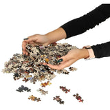 CASTORLAND 500 Piece Jigsaw Puzzle, Tea Time, Classic Interior, Old Fashioned Furniture, Oil lamp, Beautiful vase, Adult Puzzles, Castorland B-53070 Castorland