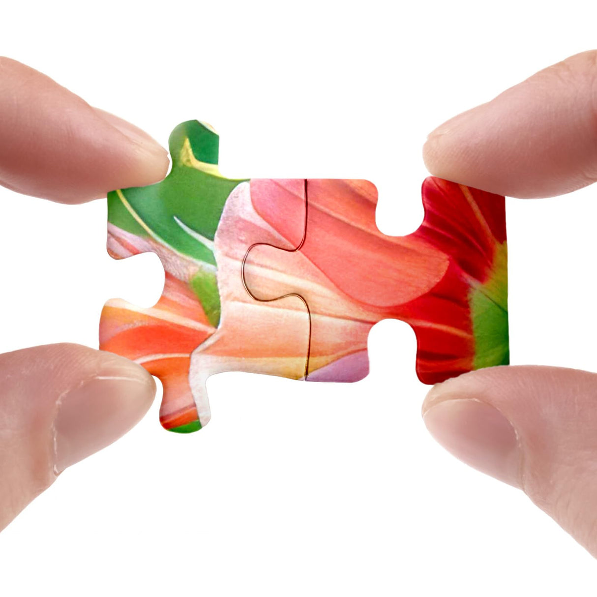 Flower Hummingbird Puzzle for Adults 1000 Pieces Nature, Pretty Bird Jigsaw Puzzle, Beautiful Floral Garden Puzzle BBOLDIN