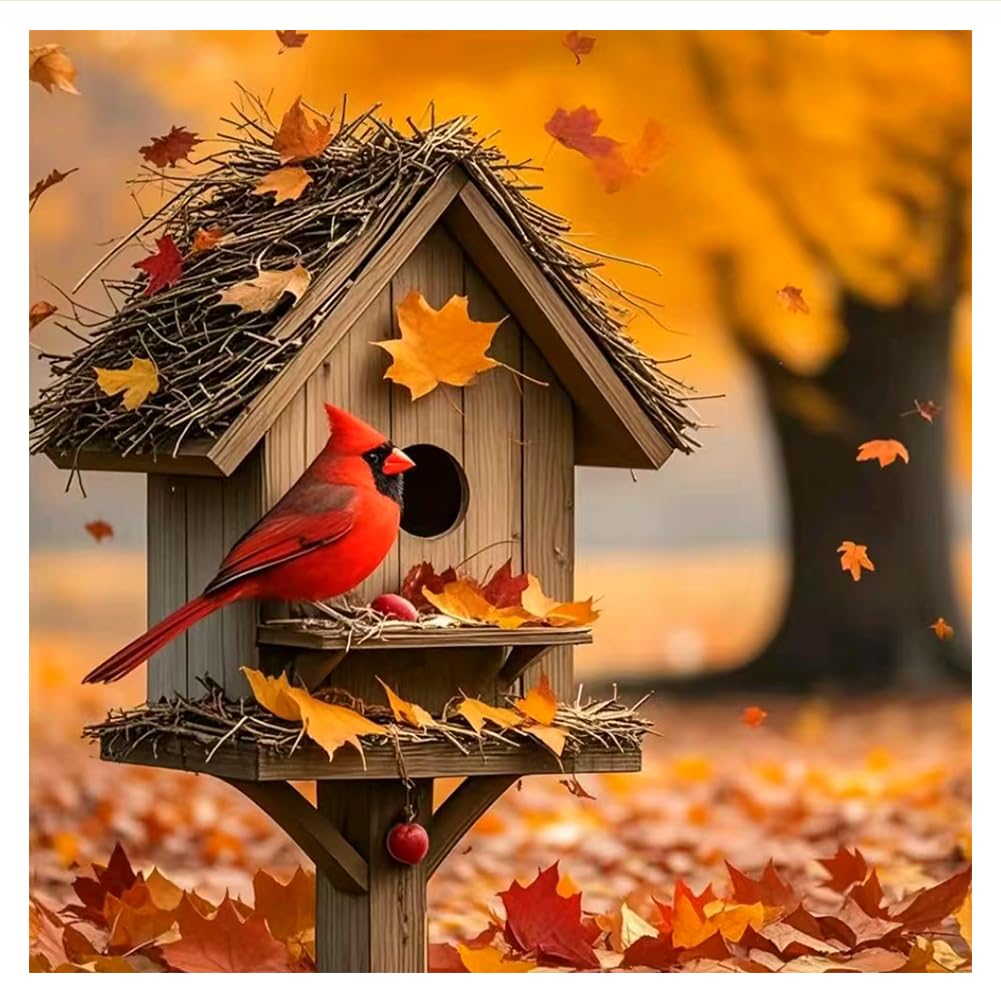 hill froeistung 5D Maple Leaf Diamond Art Painting Kits Fall DIY Full Round Drill Birdhouses Diamond dots for Adults Cardinal Diamond Art Painting Crystal Craft Kit for Wall Decor 12x12inch hill froeistung