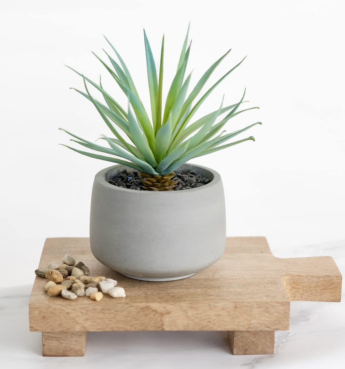 Kurrajong Farmhouse Wood pedestal stand | Planter stand | Wood pedestal board for plants | Wood riser board for home decor | Mango Wood pedestal display stand for plants Kurrajong Farmhouse