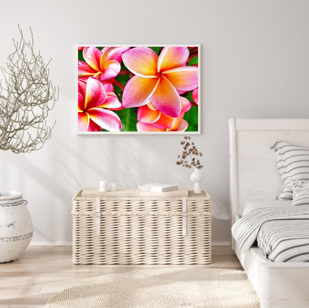 Diamond Art Painting Hawaiian Frangipani Hawaii Plumeria Blooming Flowers Kit for Adults Full Round Drill Diamond Art Painting by Number Kits Gem Art Wall Home Decor(11.8 x15.8inch) Generic