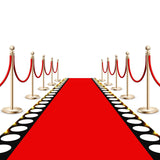 Tinideya 2 x 30 ft Red Carpet Runner for Party Red Aisle Runner with LED Lights Christmas Not Slip Carpet Outdoor Rug Movie Theme Party Accessory for Movie Night Ceremony Film Carnival Tinideya