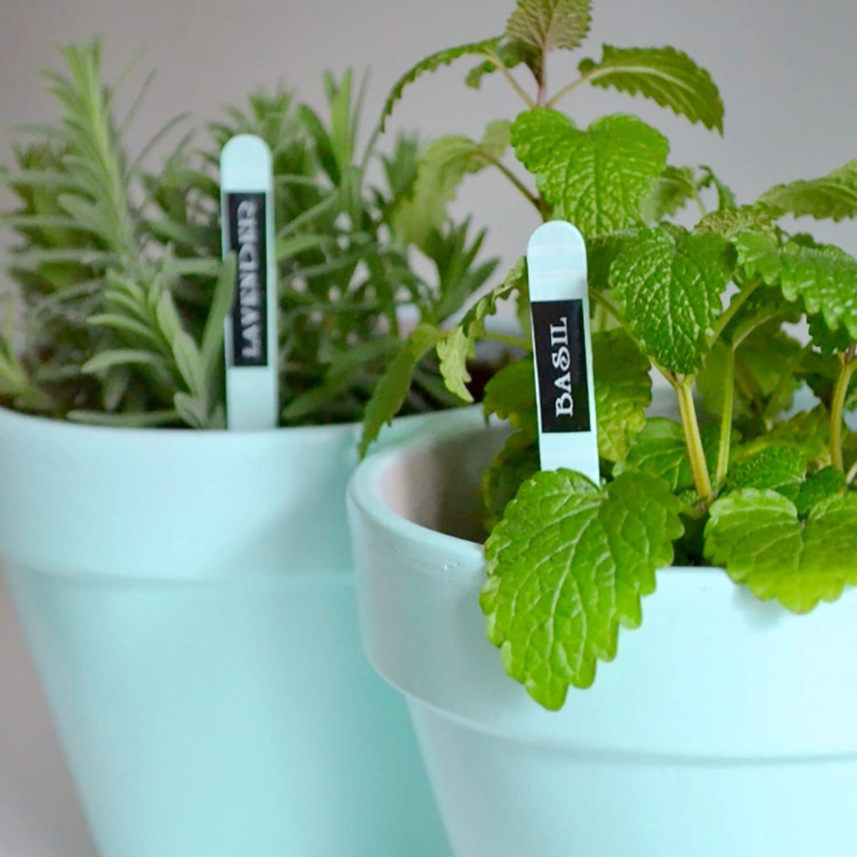 Brother P-Touch, PTD210, Easy-to-Use Label Maker Bundle (4 Label Tapes Included), White, Small Brother