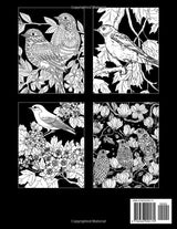 Midnight Songbird Coloring Book: Easy Coloring Pages On Black Background With Cute Birds For All Ages To Relax And Unwind | Ideal Gift For Special Occasions Majosta
