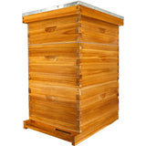 Honey Lake 10 Frame Bee Hive, Bee Hives Boxes Starter Kit for Beekeepers Dipped in 100% Beeswax, Beehive Kit Include 2 Deep Brood Box & 1 Medium Super Bee Box with Beehive Frames and Waxed Foundation Honey Lake