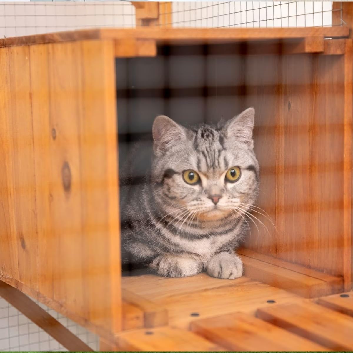 Large Cat House Outdoor Catio - Cat Play & Run Enclosures Indoor Kitty Window Cage with Waterproof Roof, 7 Platforms & 2 Resting Box, UV Resistant, 62.5" L x 32.5" W x 70" H, Orange Generic