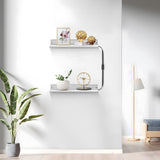 VST Floating Shelf with RGB Light, Compatible with Alexa Google Assistant App Remote Control, Handwave ON/Off, Metal Wall Mounted Light Emitting Shelves for Living Room Bathroom Bedroom, 2set VST