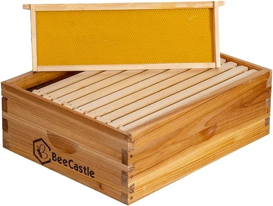 BeeCastle 10 Frame Assembled Medium Honey Super Bee Hive Box with Beehive Frames ＆ Beeswax Coated Foundation Sheets - WoodArtSupply