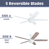 Prominence Home Ashby Modern 52 Inch Ceiling Fan with Light, LED Fan with Remote Control, Tri-Mount Indoor Fan with 5 Blades, White and Gray Oak Blade Finish Options, Farmhouse White (80094-01) Prominence Home
