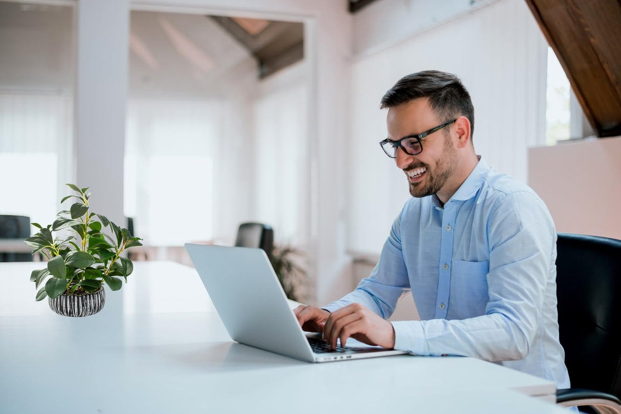 AlphaAcc Artificial Plants Decor Greenery Fake Succulents Indoor Potted Fake Plant with Rustic Black Clay Planter for Farmhouse Room Bathroom Bedroom Kitchen Office Table Desk Decor AlphaAcc