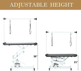 TRODEP 42.5" Hydraulic Dog Grooming Table for Large Dogs Heavy Duty Height Adjustable Dog Grooming Table with Gantry Arm & Noose Height Range 21-36 inch Black TRODEP
