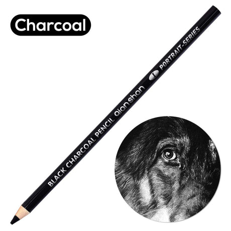 qianshan 2 Pcs Black White Color Charcoal Pencils, Professional Hight Quality Sketch Highlight Charcoal Wooden Pencils for Artist Drawing, Sketching, Blending, 2 Colors of 1 Black, 1White qianshan