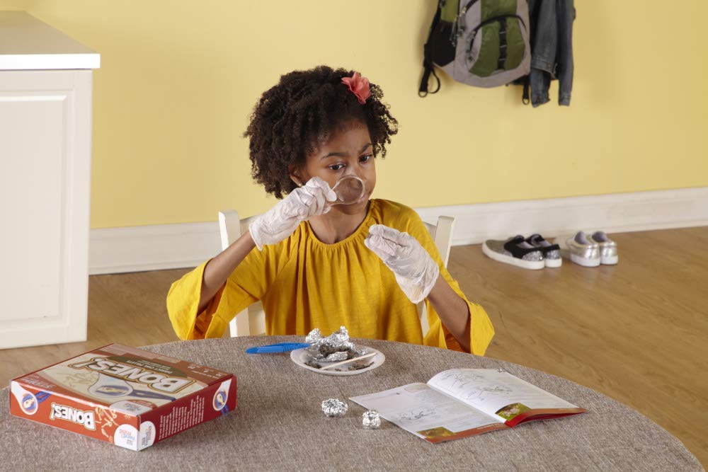 hand2mind Animal Science Kit for Kids 8-12, Kids Science Kit with Fact-Filled Guide, Learn About Animal Biology and Dissect Owl Pellets, STEM Toys, 10 Science Experiments hand2mind