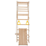 Hipicute Swedish Ladder Wall Gym,Swedish Ladder with Rope Ladder, Pull-up Bar, Monkey Bars, Gymnastic Rings for Kids and Adult Hipicute