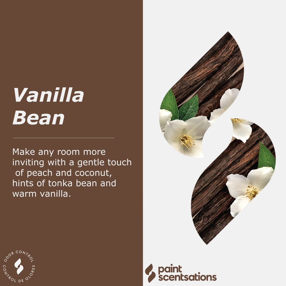 Paint Scentsations Vanilla Bean Odor Control Paint Additive | Air Freshener For Home | Last Up To 4 Months | Mix 1oz For Every 1 Gallon Of Paint | 10oz Bottle Paint Scentsations