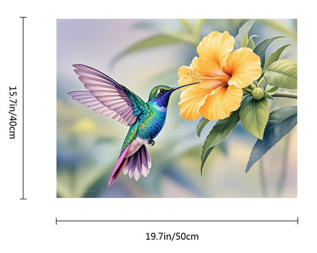 ACANDYL DIY Paint by Numbers Kit for Adults Paint by Numbers Beginner Hummingbird Canvas Painting by Number DIY Acrylic Oil Painting on Canvas Arts Craft Decoration 16x20 Inch ACANDYL
