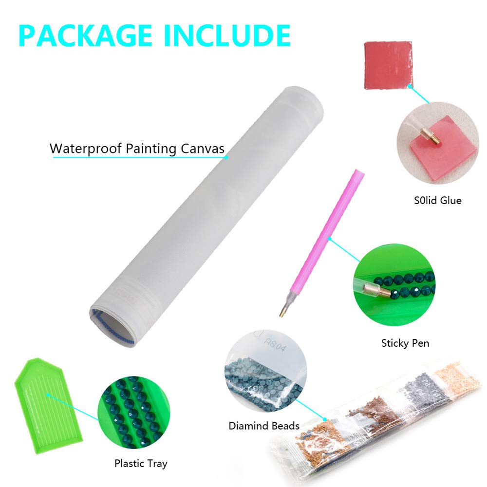 MMAHD Diamond Art Painting Kits for Adults,DIY 5D Round Full Drill Anime Diamond Art, Perfect for Relaxation and Home Wall Décor MMAHD