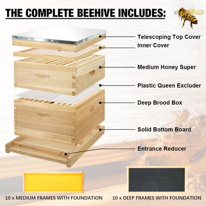 BEEINN 10 Frame Bee Hive, Compelte Bee Hive Starter Kit Includes 1 Deep Brood Honey Bee Hives Box, 1 Medium Super Bee Box with Beehive Frames and Foundation Sheets - WoodArtSupply