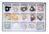 STEM Toy Rock Science Kit Geology Mineral Specimen For Kid Geologists Toysmith