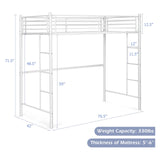 Giantex Metal Loft Bed Twin Size, Heavy Duty Loft Bed Frame with 2 Ladders, Twin Over Loft Bunk Bed with Full-Length Guard, Space-Saving Bed Frame for Kids Teens Adults, No Box Spring Needed (White) Giantex