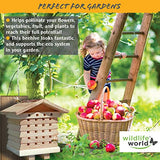 Wildlife World Interactive Wooden Bee House - Pollinator Bee Management System Wildlife World