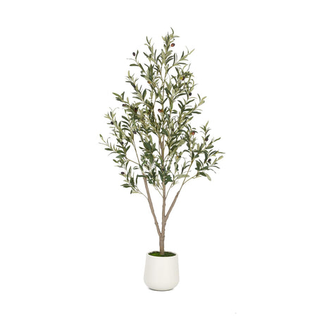 VIVATREES Olive Trees Artificial Indoor, 5FT Tall Faux Olive Tree with White Tall Planter, Artificial Plants with Natural Wood Trunk and Lifelike Fruits for Home Office Decor VIVATREES