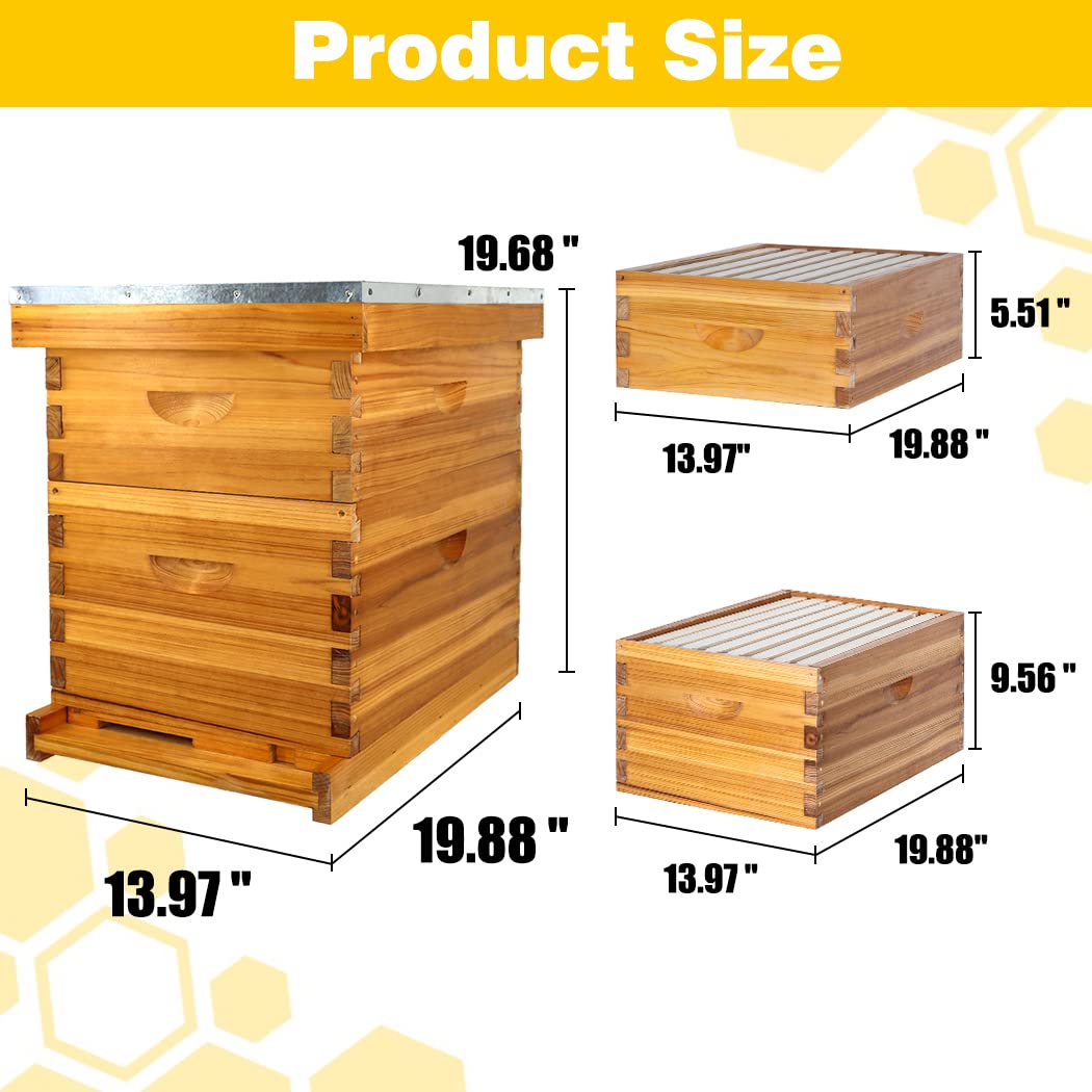 ThxBees 8 Frame Bee Hive Complete Beehive Kit Beeswax Coated Include Frames and Foundation Sheet for for All Beekeeping Levels (1 Deep & 1 Medium Bee Boxes) ThxBees
