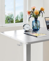 ErGear Height Adjustable Electric Standing Desk, 48 x 24 Inches Sit Stand up Desk, Memory Computer Home Office Desk (White) ErGear