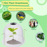 Homaisson 10PCS Plant Protector Covers, Plastic Garden Cloches, Reusable Mini Greenhouse for Plants, Bell Cloche Plant Protectors with Built-in Rotating Vents for Tender and New Seedlings Homaisson