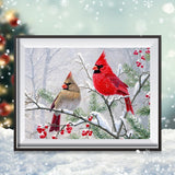 FHBUBPUP Diamond Art Painting Kits for Adults, Cardinal Birds Diamond Art Kits for Beginners, DIY Winter Gem Art Craft for Home Wall Decor, Great Gift for Kids 16x12inch FHBUBPUP