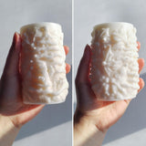 Wehous Christmas Candle Molds, 3D Embossed Santa Tree Holly Cylinder Silicone Molds for Resin Candle Soap Wax, Christmas Ornament Fondant Chocolate Dessert Mold Art Craft Xmas Decor (Santa & Tree) Wehous