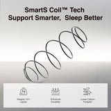 Novilla Queen Mattress, 14 Inch Queen Size Mattresses in a Box with Smarts™ Pocket Coil for Pressure Relief, Medium Plush Foam and Spring Hybrid Colchones with CertiPUR-US Certified Novilla